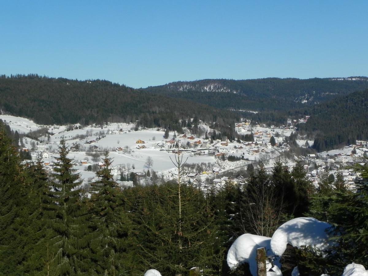 Appt 3* Le Haut Des Lacs Xonrupt-Longemer Eksteriør bilde